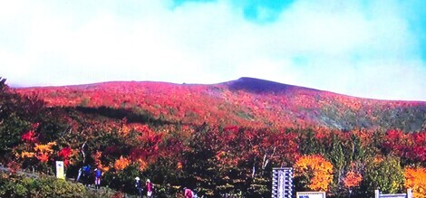 ほっと一息
