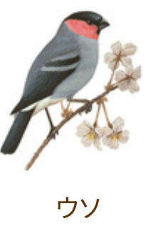 ほっと一息