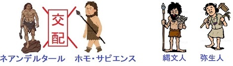 たんぽぽ