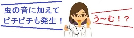 たんぽぽ
