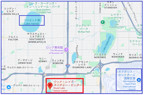 たんぽぽ