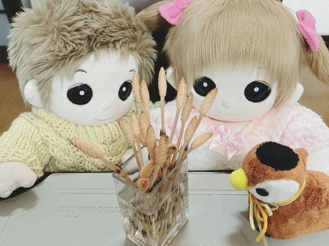 ☆夢の子学園☆≪ユメル・ネルル・ミルル・ダッキー≫