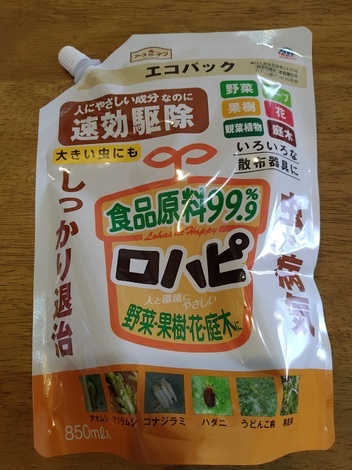 真っ赤なトマト