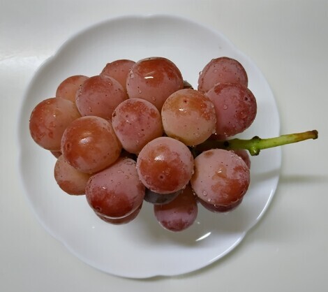 バニラヨーグルト コミュニティ「おしゃべりルーム」