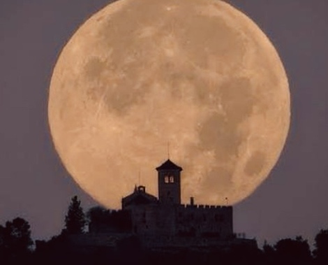 おしゃべりカフェ