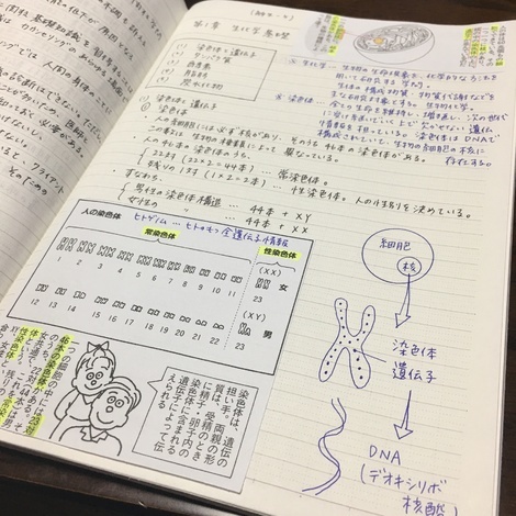 勉強再スタート：掲示板:絶対合格するぞ！メンタルケア心理専門士