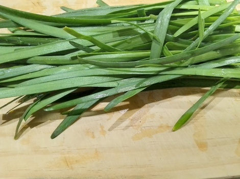 今、どんなお花咲いてますか?パート4