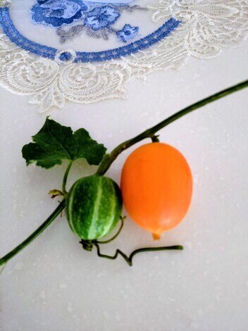 今、どんなお花咲いてますか？パート４