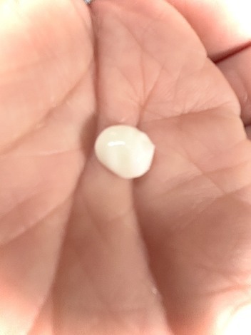 おためしサロン