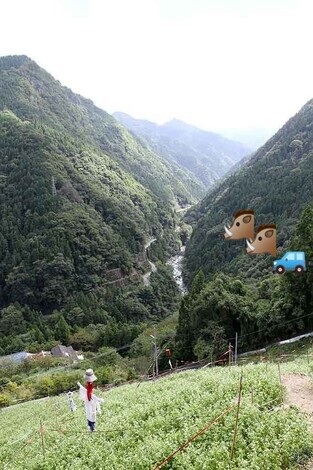 💛喫茶・赤とんぼ💛