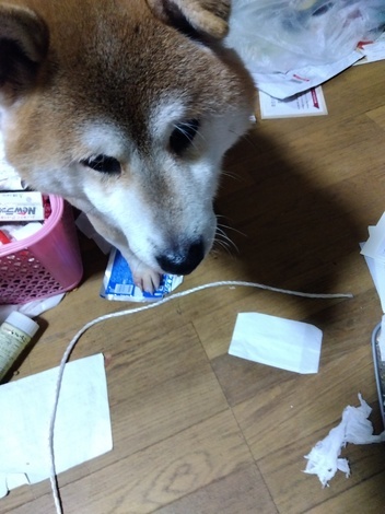 片思いのつぶやき