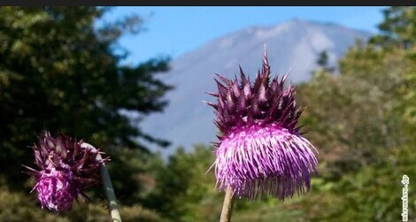 老年からのパソコン