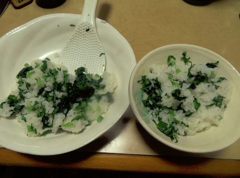 出来るうちに畑生活をしたいな