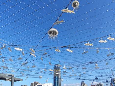 旅友探そう〜♬メンバー間でレター送れます!