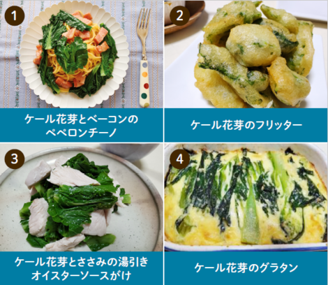 メニューもご紹介 とっても稀少 春にしか収穫できないケールとは 掲示板 すこやかトークルーム Beach ビーチ メニューもご紹介 とっても稀少 春にしか収穫できないケールとは 掲示板 すこやかトークルーム Beach ビーチ