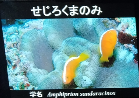 “絆”の案内所