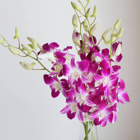 “絆”の案内所