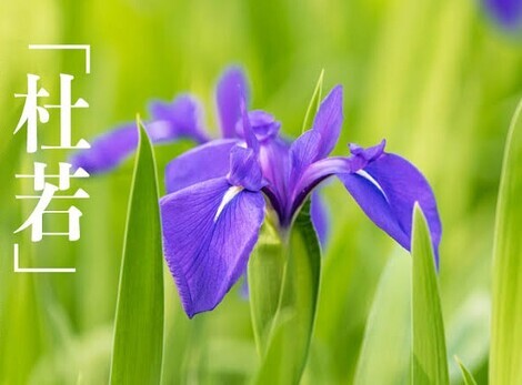 “絆”の案内所