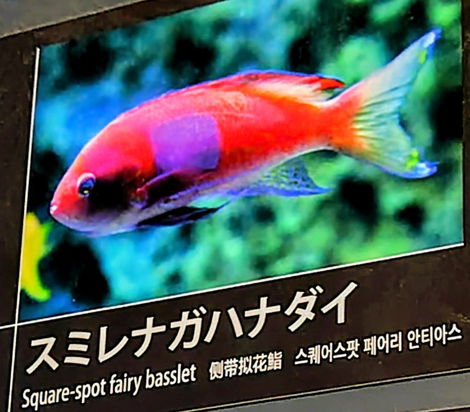 “絆”の案内所