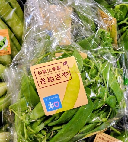 “絆”の案内所