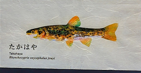 “絆”の案内所