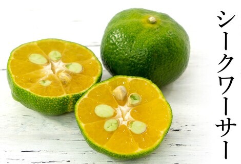 “絆”の案内所