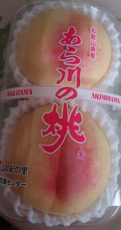 “絆”の案内所