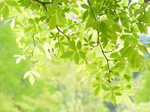 “絆”の案内所