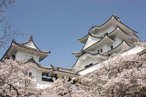 “絆”の案内所