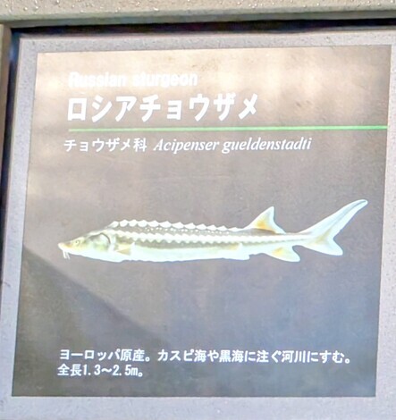 “絆”の案内所