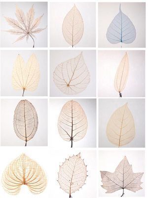 “絆”の案内所