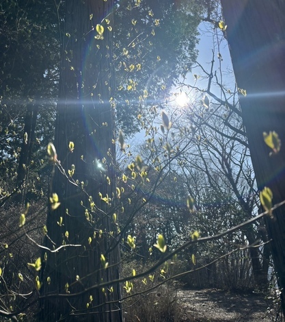 “絆”の案内所