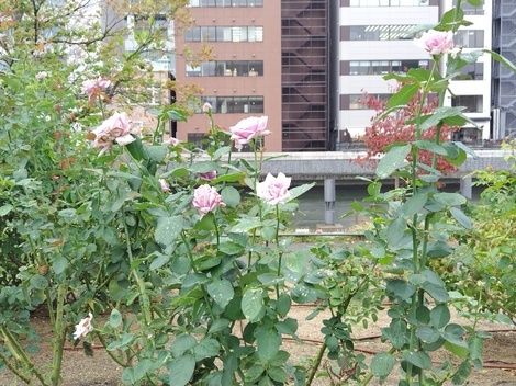 “絆”の案内所