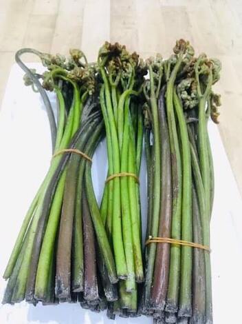 “絆”の案内所