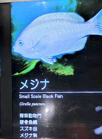 “絆”の案内所