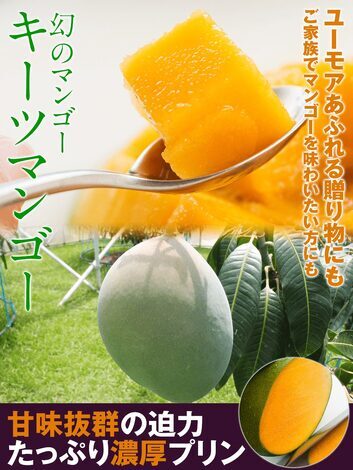 “絆”の案内所