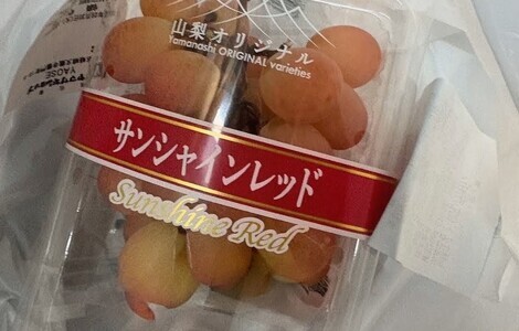 “絆”の案内所