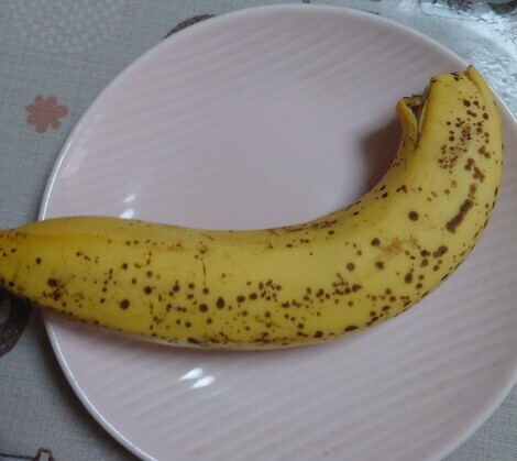 “絆”の案内所
