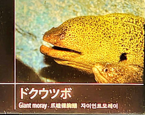 “絆”の案内所