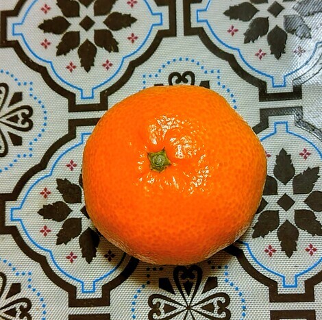 “絆”の案内所