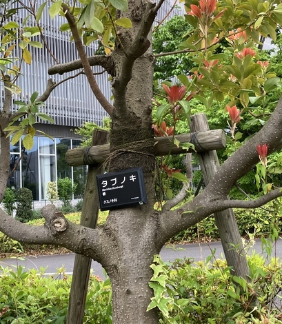 “絆”の案内所