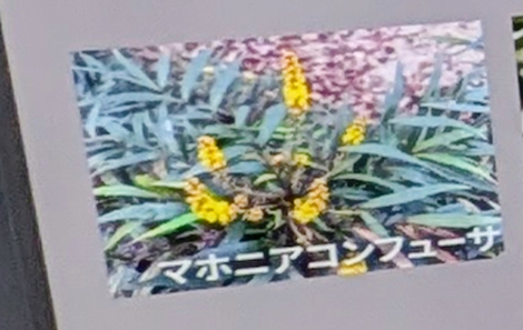 “絆”の案内所