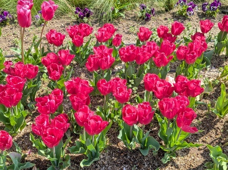 “絆”の案内所