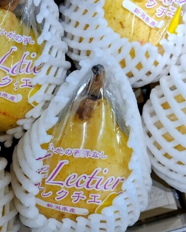 “絆”の案内所