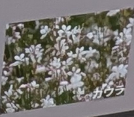 “絆”の案内所