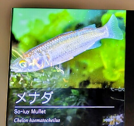 “絆”の案内所