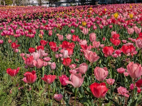 “絆”の案内所