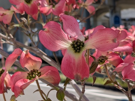 “絆”の案内所