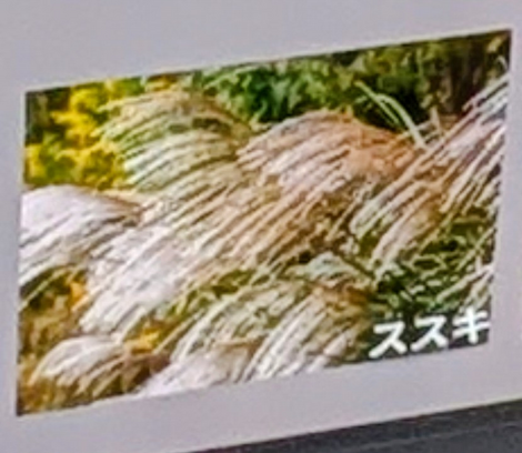 “絆”の案内所