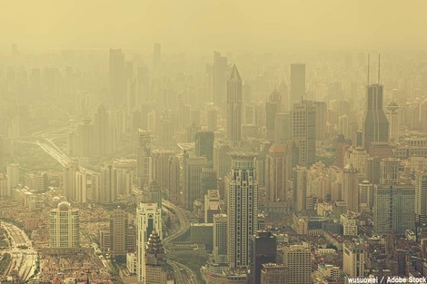 “絆”の案内所